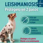 La Leishmaniosis